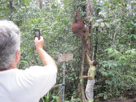 Semenggoh Nature Reserve